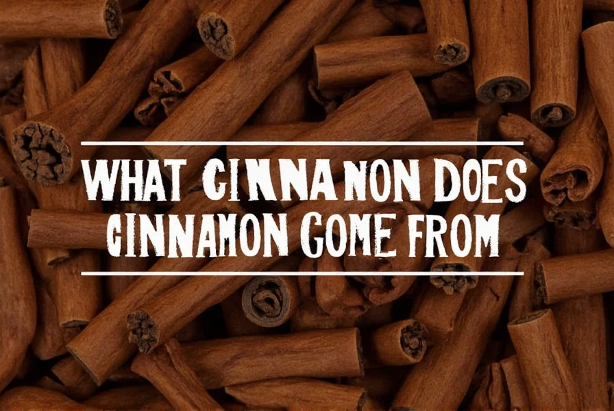 what tree does cinnamon come from