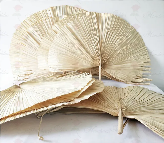 Wholesale Dried Fan Palm Leaves For Wedding Decoration