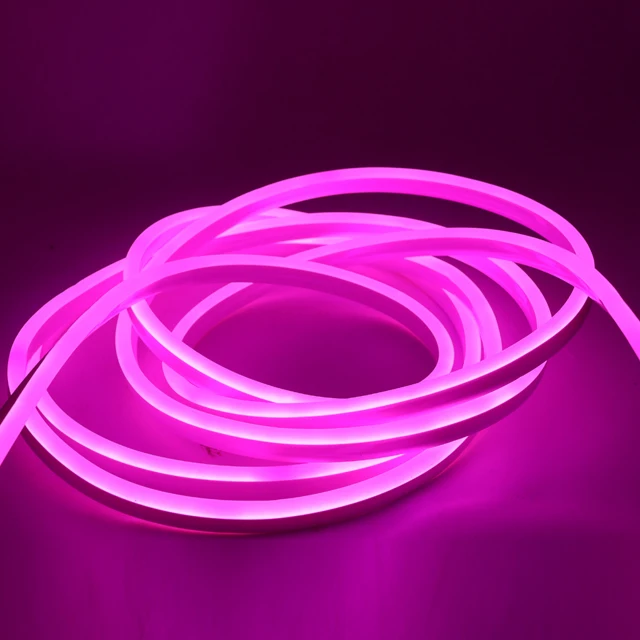 IP67 Professional Led Neon Rope Light Outdoor Led Strip neon Light