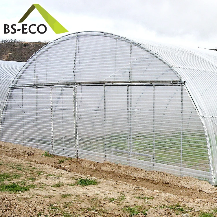 Single Span Greenhouse 16