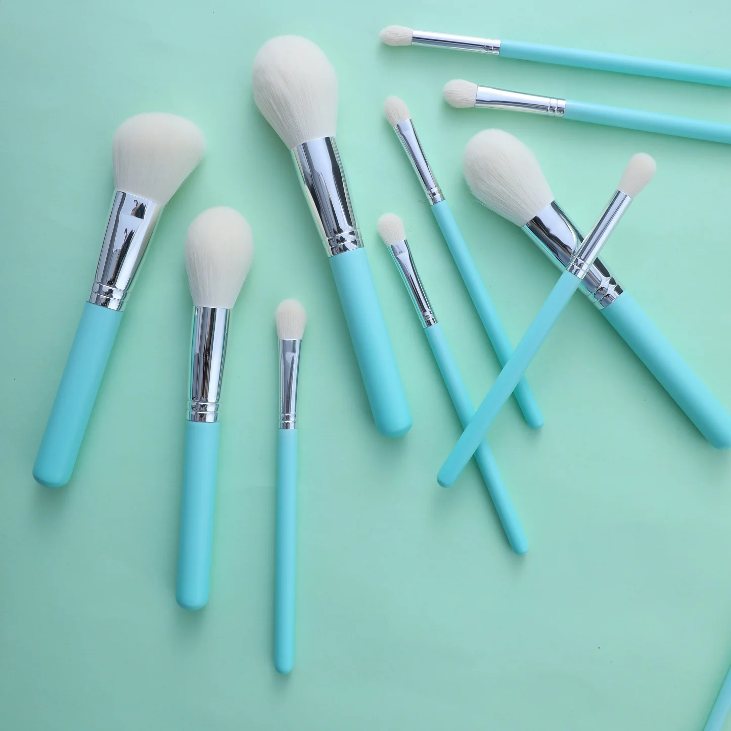 

NEW product 12pcs High Quality light blue beautiful Private label makeup brush set with gift bag