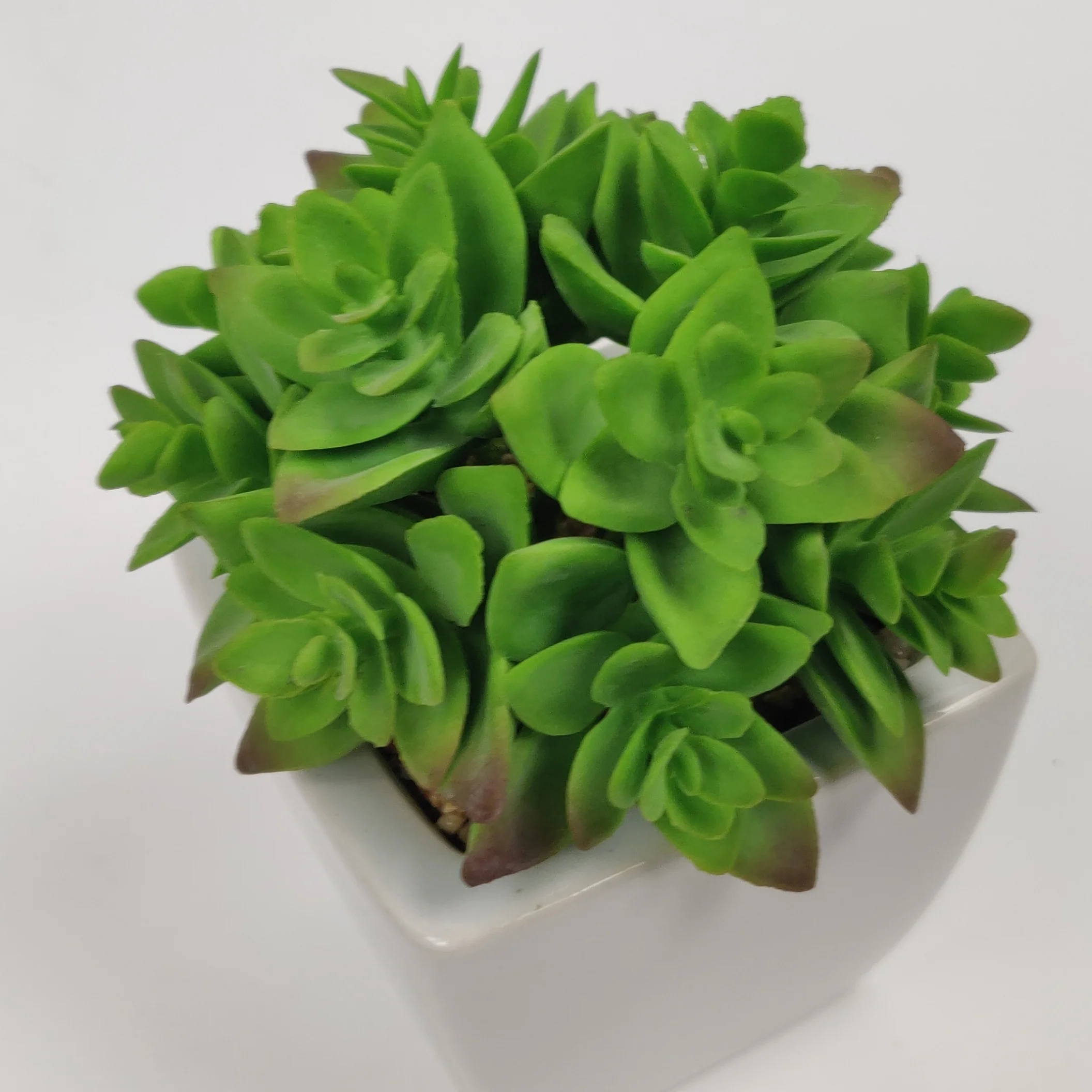 

China Wholesale Mini Artificial Plants Potted Succulents For Desk Decoration, As shown