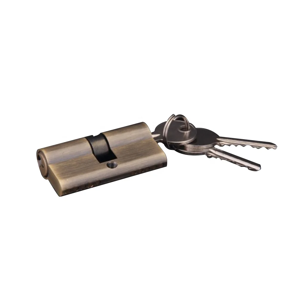 
Customized 5 Pin Solid Brass Euro Profile Door Lock Cylinder With 3pc Keys 