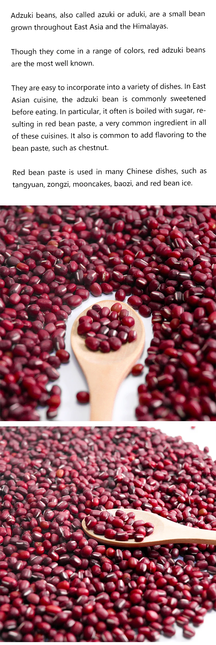 High Quality Bulk Dried Small Red Beans With Good Price