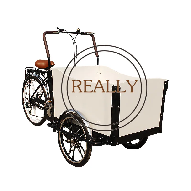 

Discount Convenient Electric Tricycle 3 Wheel Bicycles Pedal Cargo Bike for Passenger Carrier and Food Sales