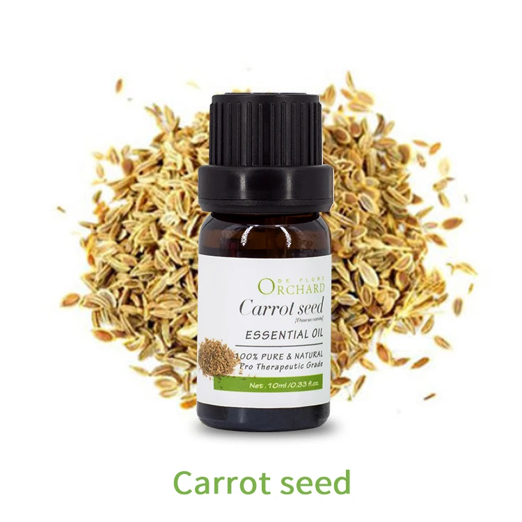 

Steam Distilled Extraction Pure Carrot Seed Essential Oil Wholesale Best For Skin Lightening