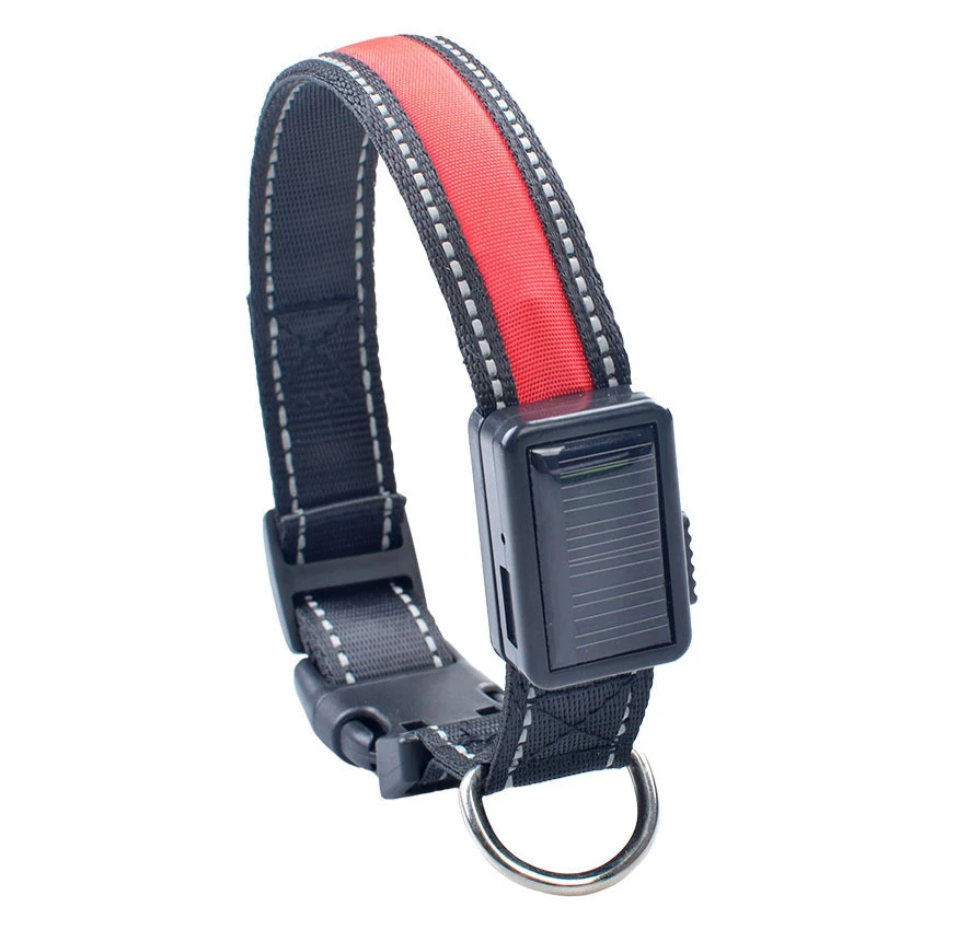Amazon Hot Sell Customized Adjustable Nylon Dog Collar Led Light Up With USB Charging