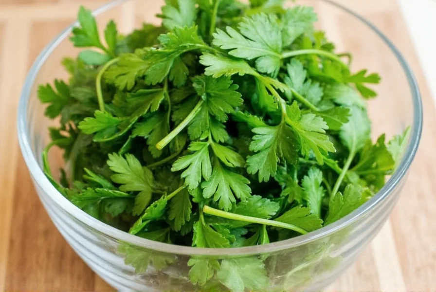 Spanish Coriander: Clarifying the Common Misconception
