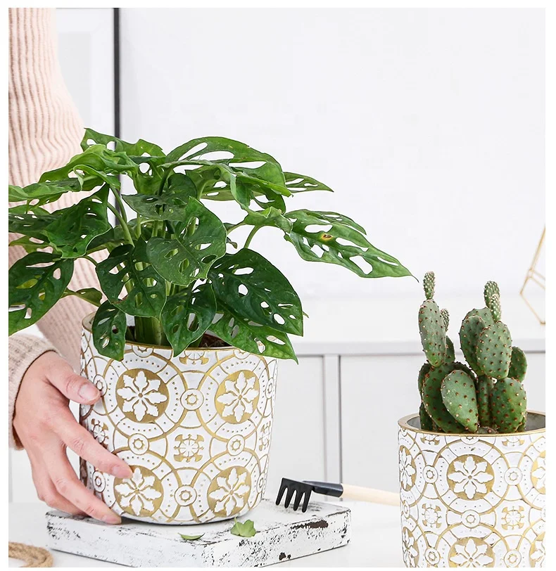 

Nordic creative cement succulent flower pot flower pot home decoration green plant with round ceramic flower pot