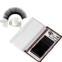 

y Shape Individual Mink And Silk And Silk Lashes Extensions