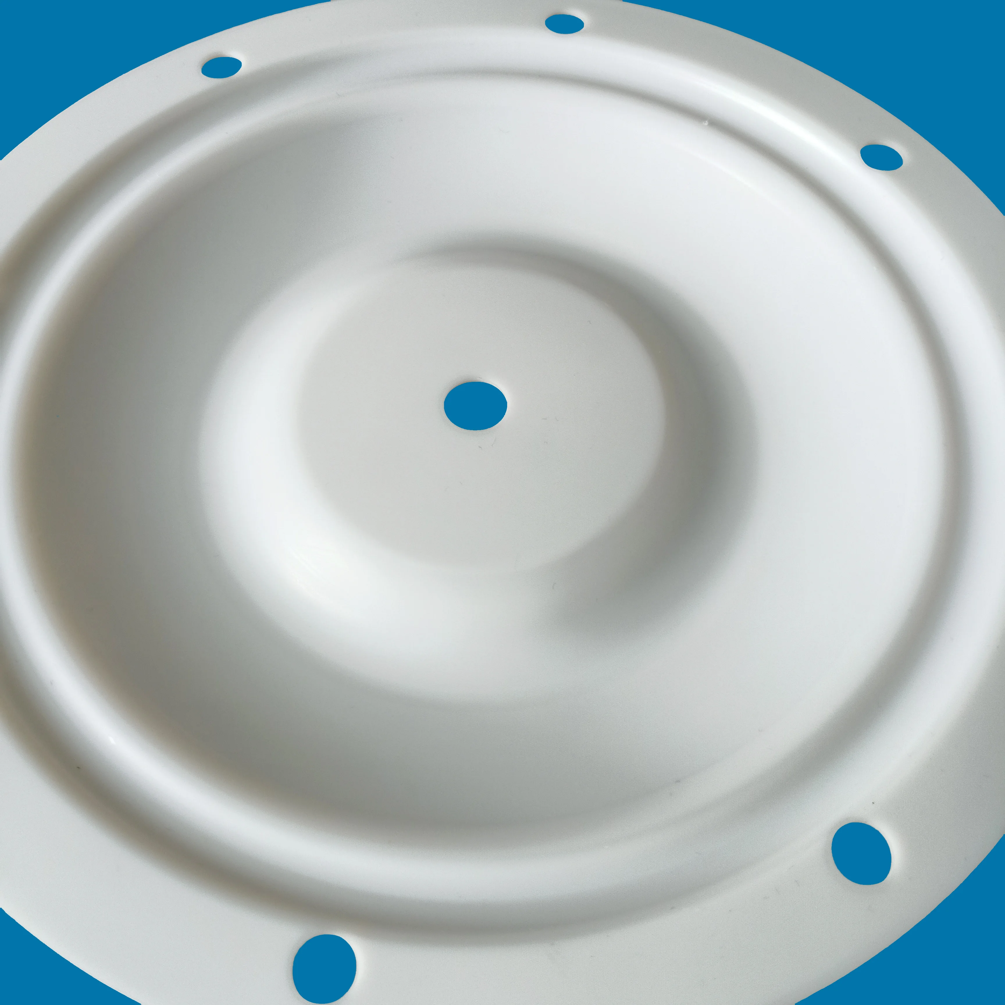 CF25-016 PTFE Diaphragm details