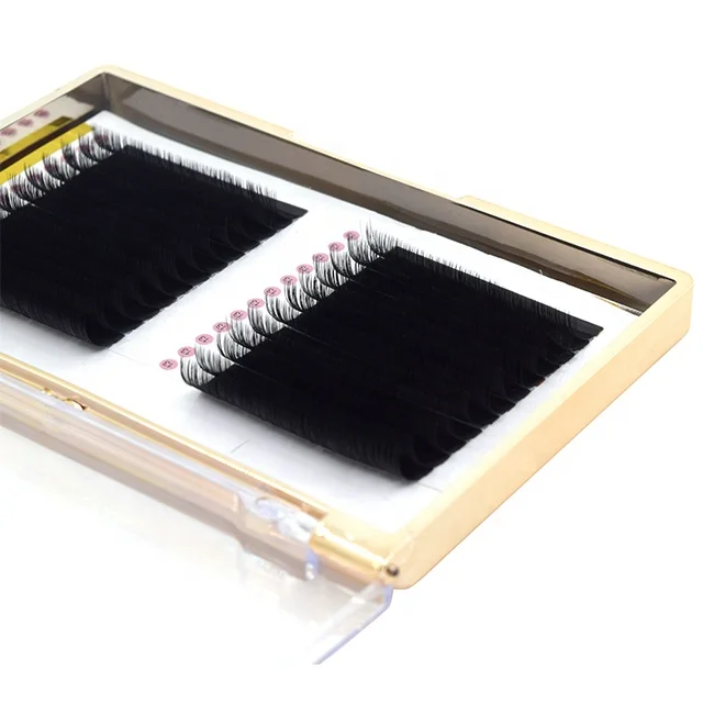 
Book Free Sample Customer Private Label Trays Auto Fan Blooming Eyelashes Extensions Cheap Mink Lashes Extension 