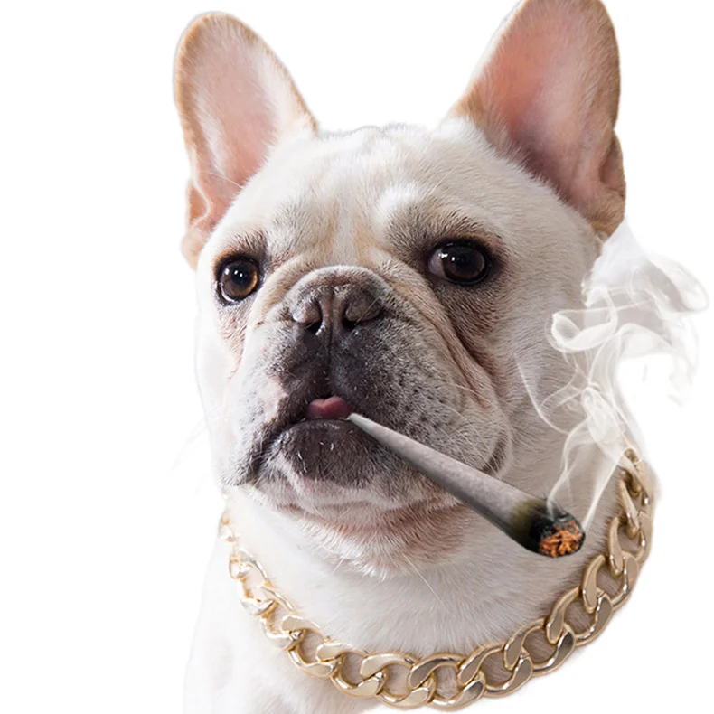 

Popular Shiny heavy big gold cuban link customized dogs chain stainless steel dog collar