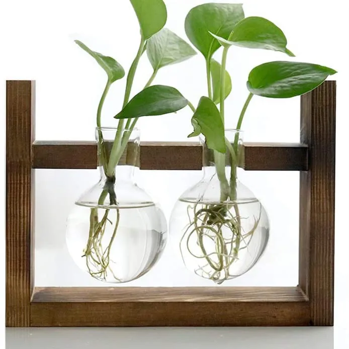 

Propagation Station Glass Hydroponic Planter Bulb Terrarium Vase with Retro Wooden Stand for Desktop Table Indoor Garden Wedding, Clear transparent
