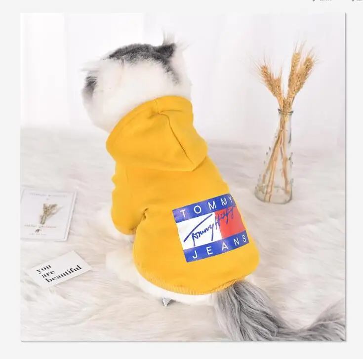 

Luxury chihuahua New designer dog clothing winter warm two feet hoodie puppy dog and cat pet clothing hoodies wholesale spot