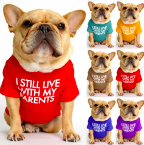 

Luxury Popular Summer ODM Letter Printing Dog Vest Clothes Dog Shirts Puppy T-Shirt Clothes