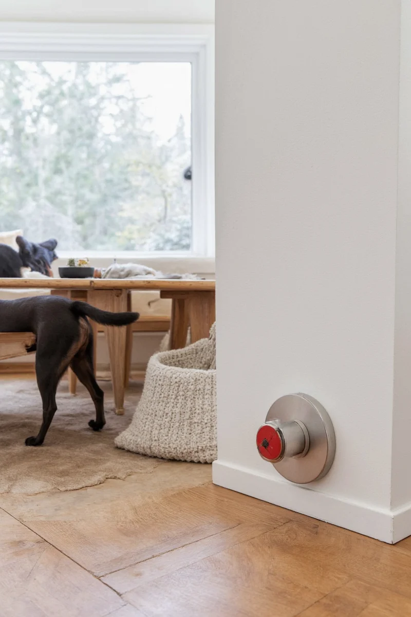 Floating pet food station mounted with dog point screws, featuring matching ceramic bowls and sleek wall brackets in a modern kitchen setting.