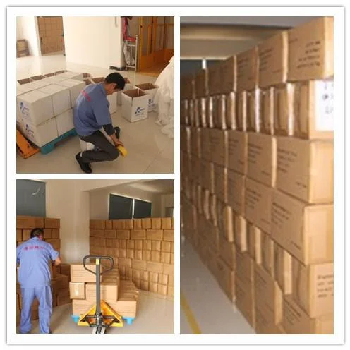 Nonwoven Three Ply Disposable Face Mask 2 Layers 25gsm Pp