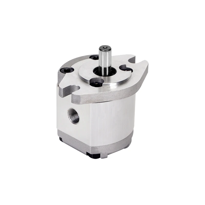 

Chinese manufacturer sells precision High pressure Mini Gear pump Hydraulic pump for agricultural machinery