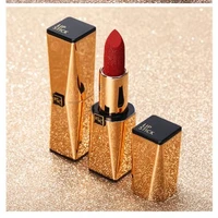 

Melason Wholesale Cheap Branded Makeup Gold Tube OEM Lipstick Kits Small Business Logo Accepted Organic Lipgloss