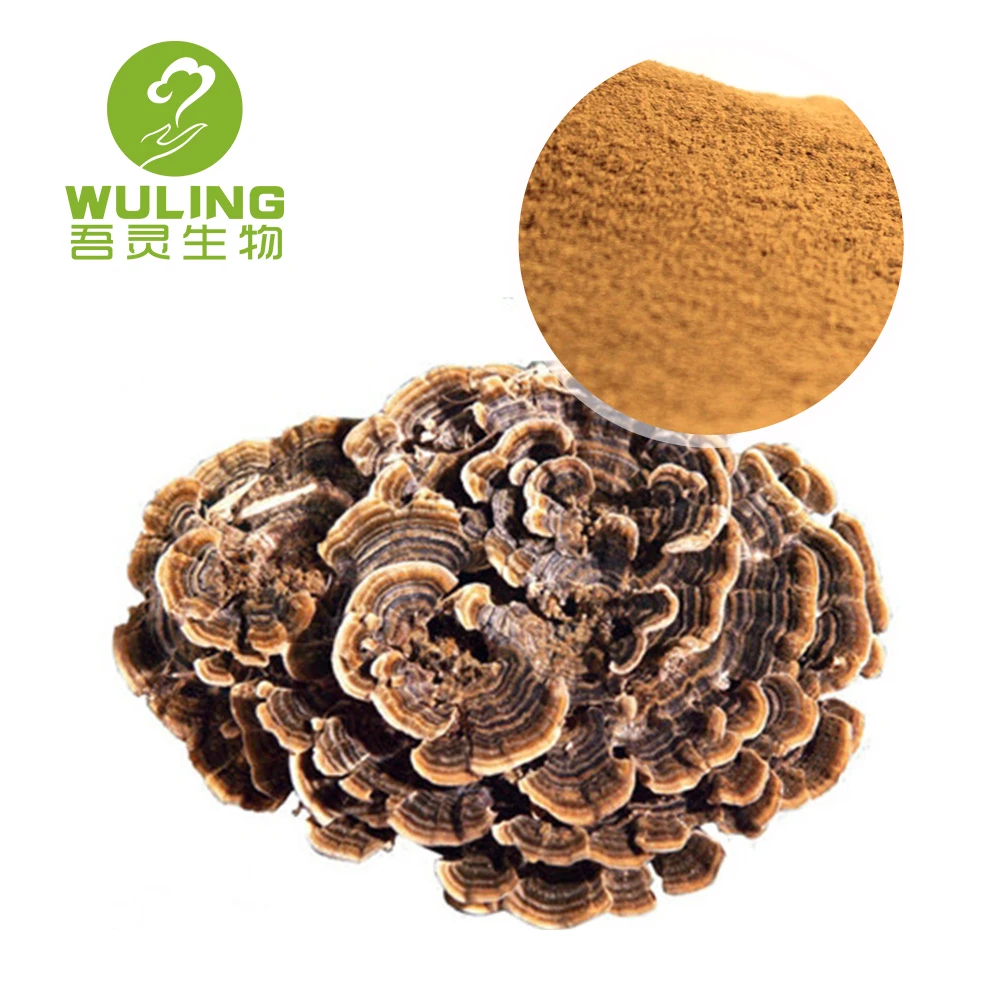 
100% soluble in water Turkey Tail Extract Powder Beta Glucan 50% 