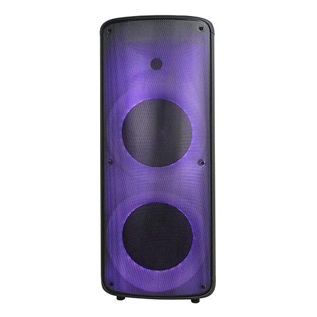 

2021 New private Party Dual 10 inch Professional Portable Hight quality Sound Wireless BT Plus Fire Effect Speaker