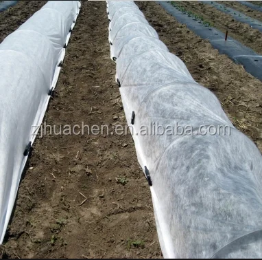 

PP Agriculture Nonwoven Fabric for Vegetable Greenhouse PP Nonwoven Fabric for Weed Control Agriculture Fabric Plant cover