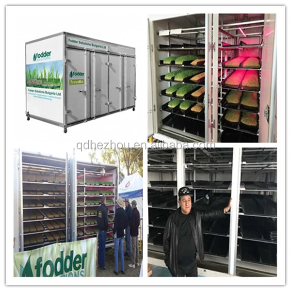 Australia Popular Hydroponic Growing Systems Buy Hydroponic Growing Systems,Hydroponic Systems
