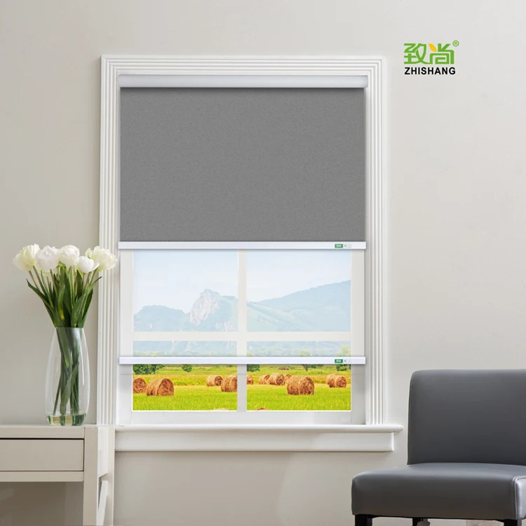 Tuya App motorized double layer roller blinds day and night blind curtain