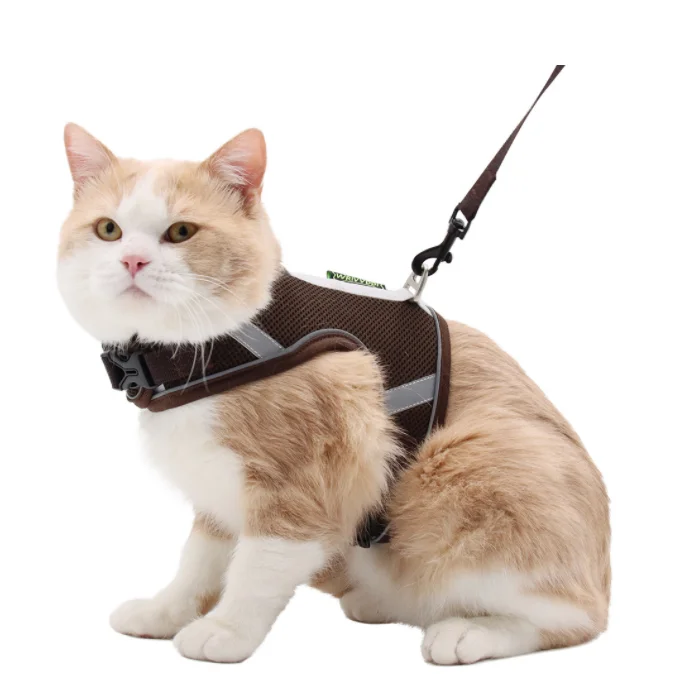 

Eco friendly collar pet accessories personalised customized pet collar for dogs, Customized color