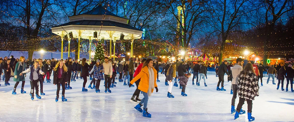 Skatable Hockey Synthetic Ice Rinks/artificial Ice Skating Rinks/used