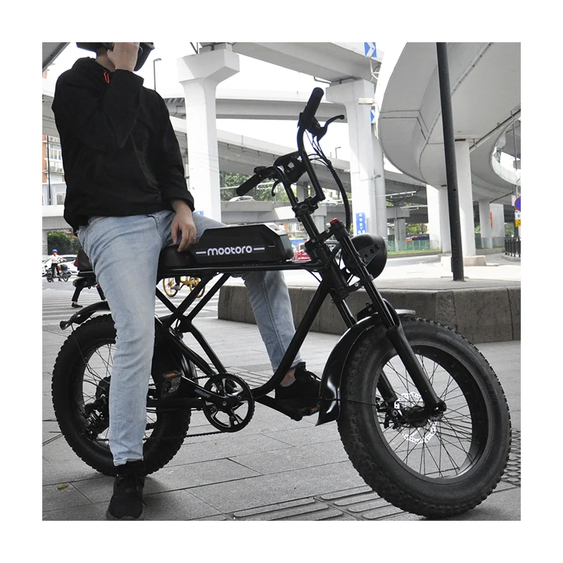 

750w 48v battery high speed dirt men retro vintage MTB electric e bicycle hubless hybrid fat tire mtb e bike electric bicycle