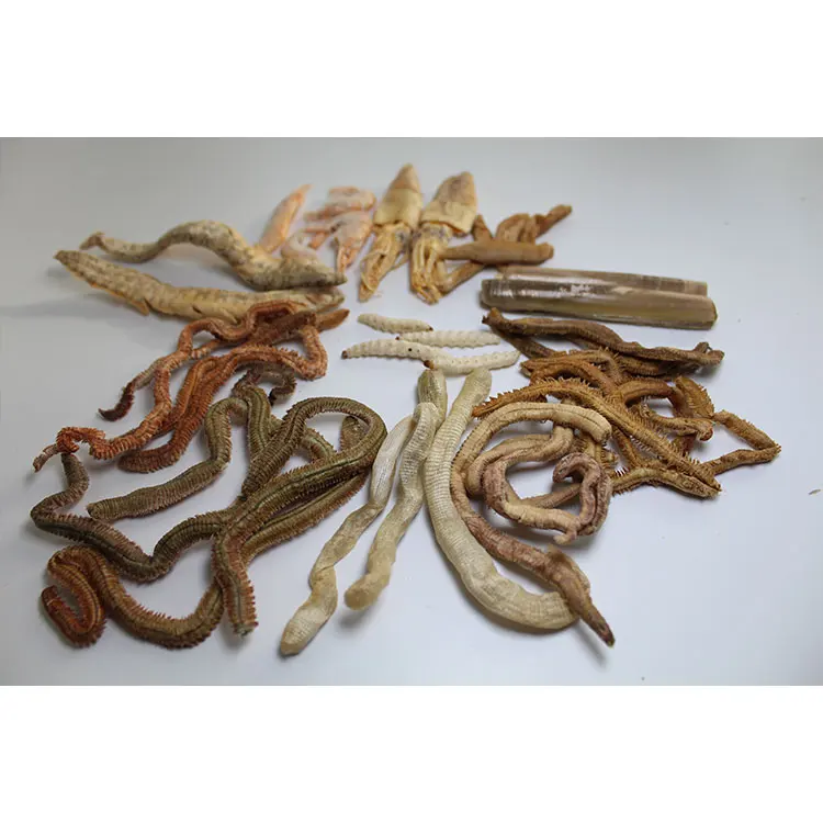Сухой червь. Червь морской вяленый для рыбалки в. Червяк в сушеных водорослей. Dry lugworm. Наживка Higashi Dry lugworm "SUPERBAIT", 5-9 шт., набор, 05052_3995.