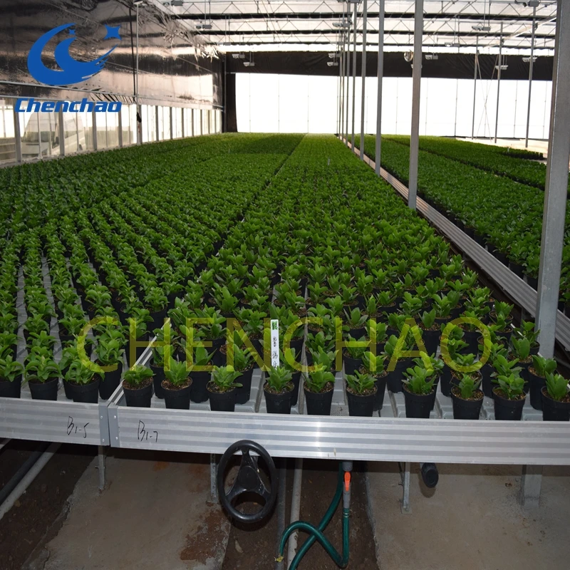 
low cost greenhouse hydroponic growing systems kit trays 