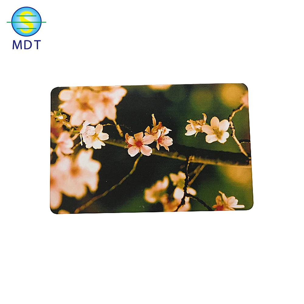 

DU visiting card, Cmyk color or pantone color