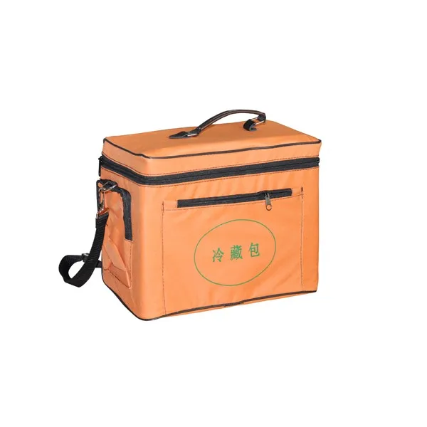 
Cold storage bag that can be carried around 