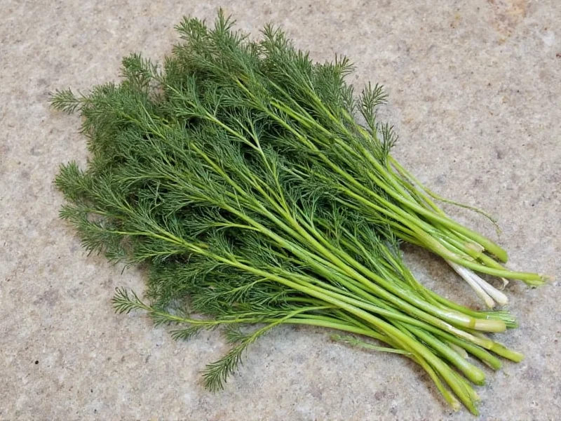 dill seed replacement