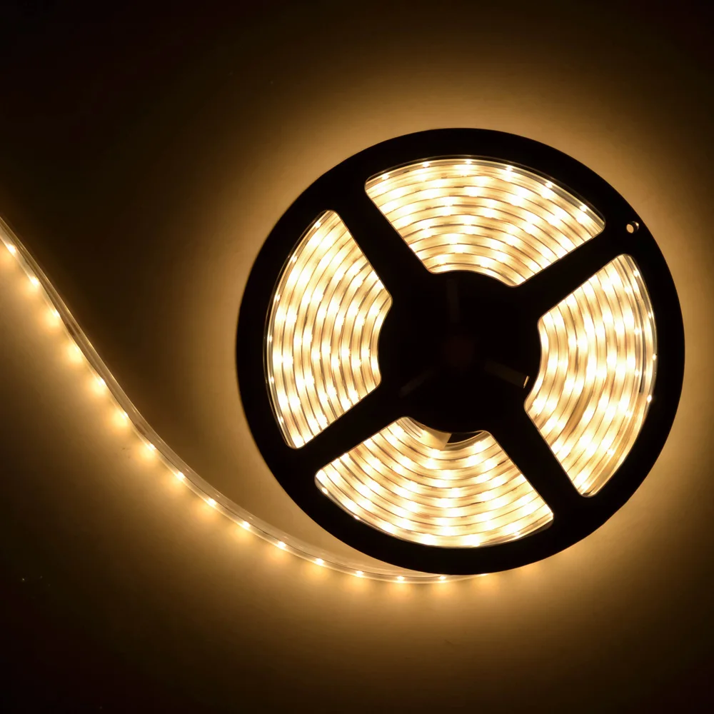 Cheapest Good Quality Strip Led Light 100M Wire 8Mm Price IP68 5050 RGB Luces Led Tira Led Strip Light From ZhongShan