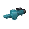 WASSERMANN JDWm-150 Self-Priming Jet Deep Well Surface Pump