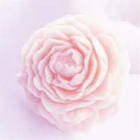 

Food Grade 3D flower Soap Mold Silicone Cake Candle Mould DIY Craft Peony Soap Making Molds