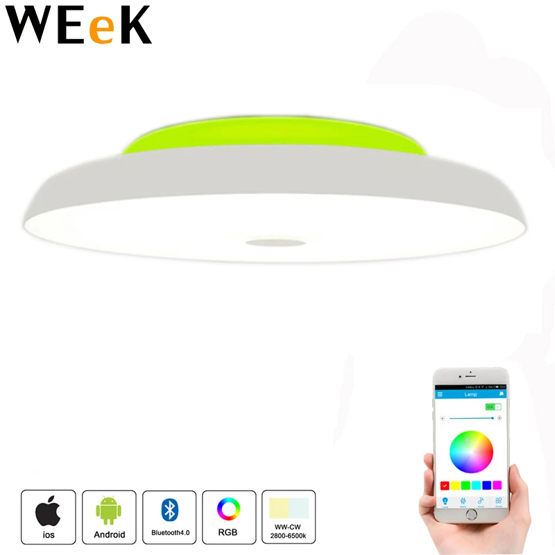 Smart Bluetooth LED Ceiling Lights 48W 110V 220V Led Ceiling Lamp Home Hallway Stairway Garage Porch Laundry 50cm Star Cover
