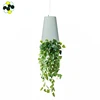 /product-detail/creative-indoor-decorative-sky-hanging-self-watering-plant-pot-upside-down-plastic-flower-pot-62280843142.html