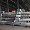 automatic chicken cutting machine Factory direct sale type layer chicken cage