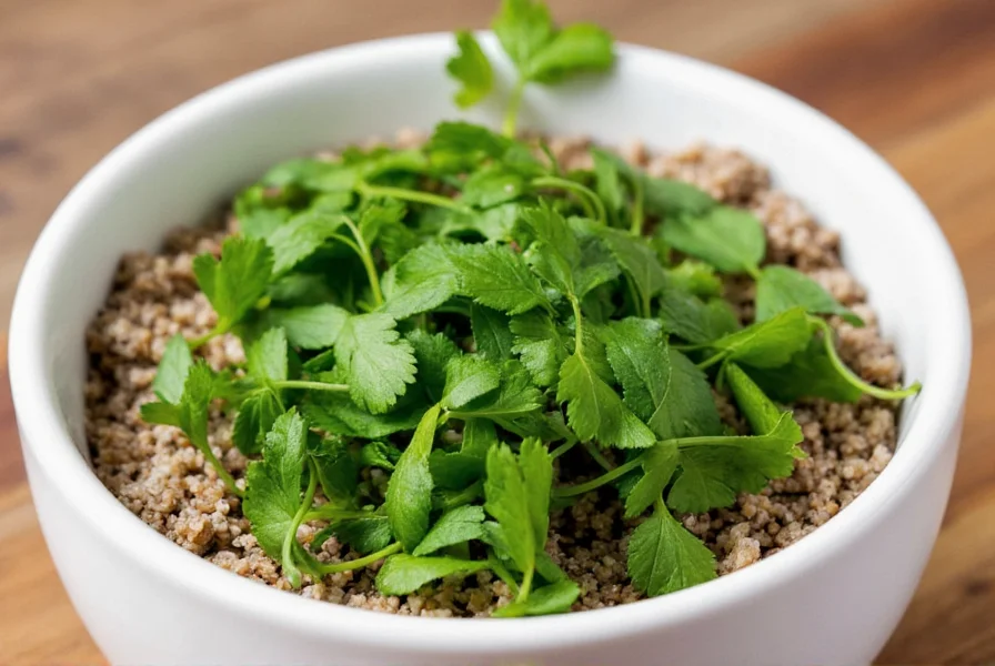 Fresh parsley and coriander comparison for cooking substitutes