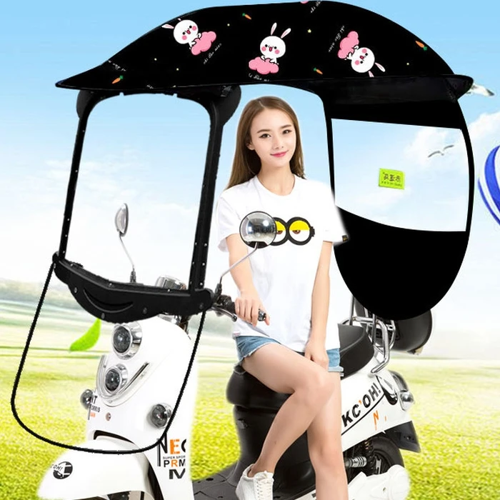 

Black Coating Canopy Cover Windshield Sunshade Electric Scooter Umbrella, Black/sliver