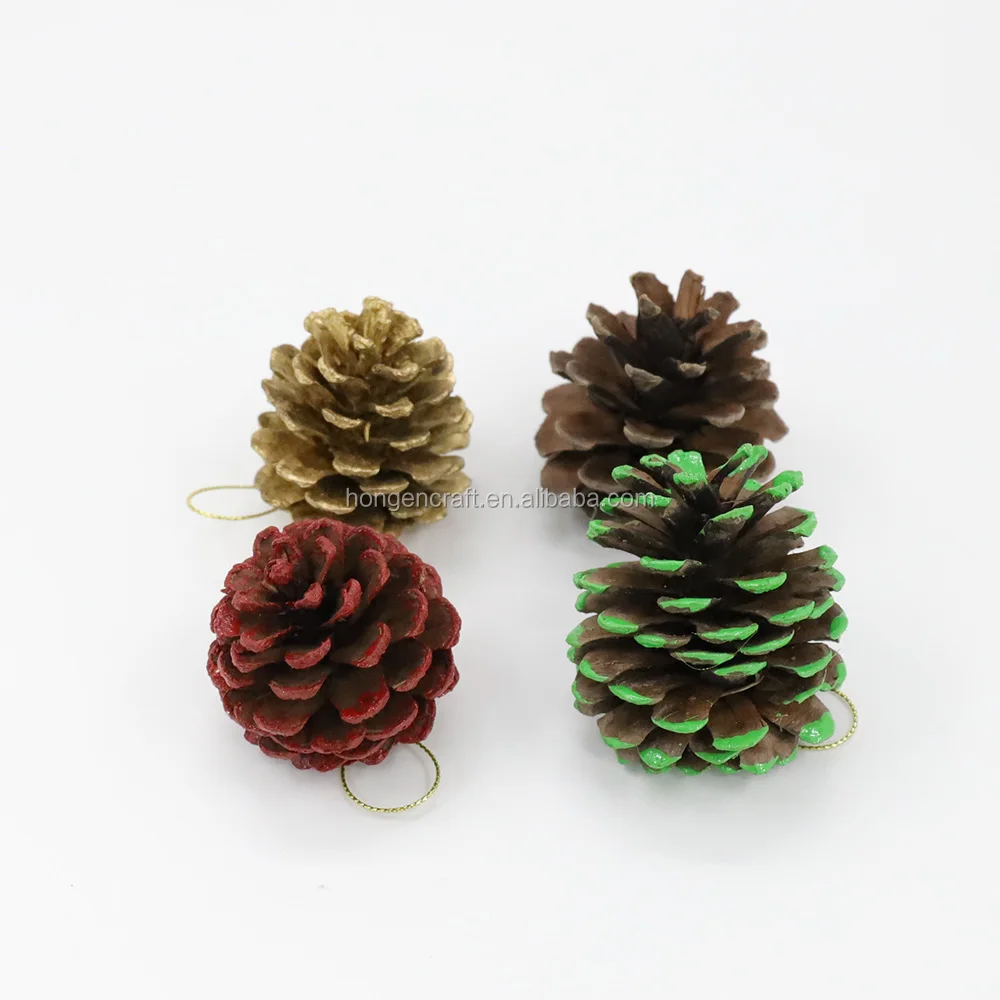 mini small pine cone pinecone 25