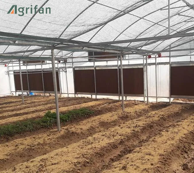 
pad - fan evaporative system for greenhouse cooling 