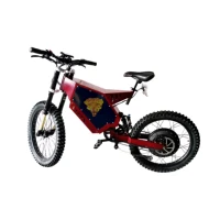 

Christmas Promotion!!!5000W enduro e bike high quality electric bicycle stealth bomber electric bike