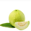 Guava puree making plant guava jam processing machine bale sauce production line