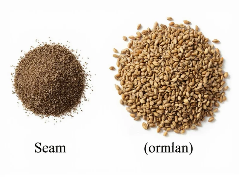 Best Caraway Seeds Substitutes: Practical Kitchen Swaps